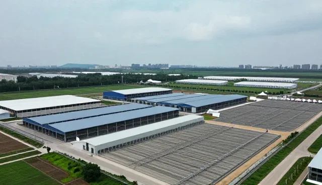 运维服务选型中的技术支持关注点分析